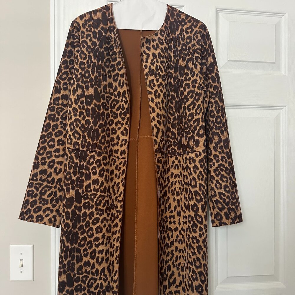 Zara Leopard Jacket